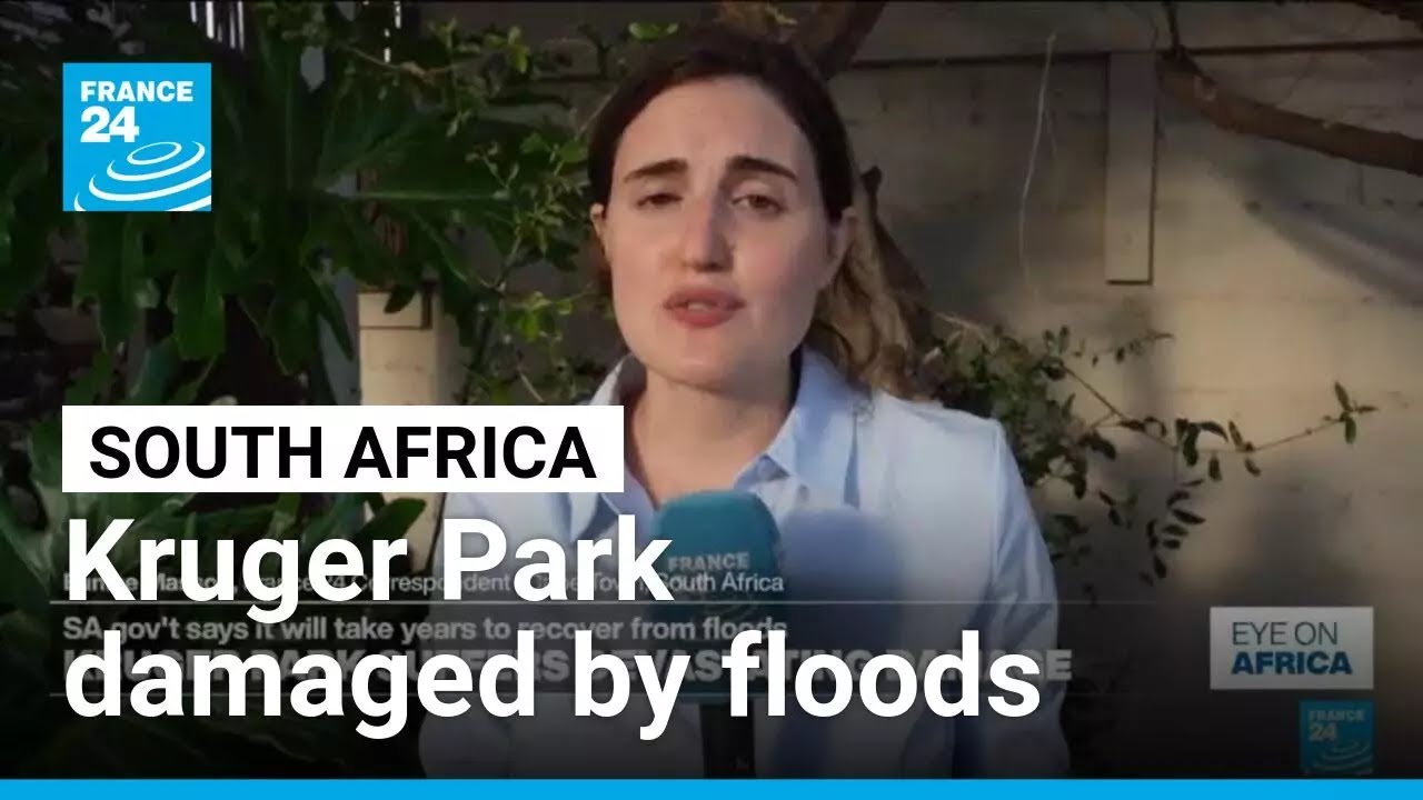 South Africa's Kruger National Park suffers severe damage due to floods • FRANCE 24 English