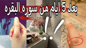 كيف تخلين نتائج سوره البقره تظهر في اقل مده 💪🏻وحقيقيه قرائه سوره البقره يوميا !!🤚
