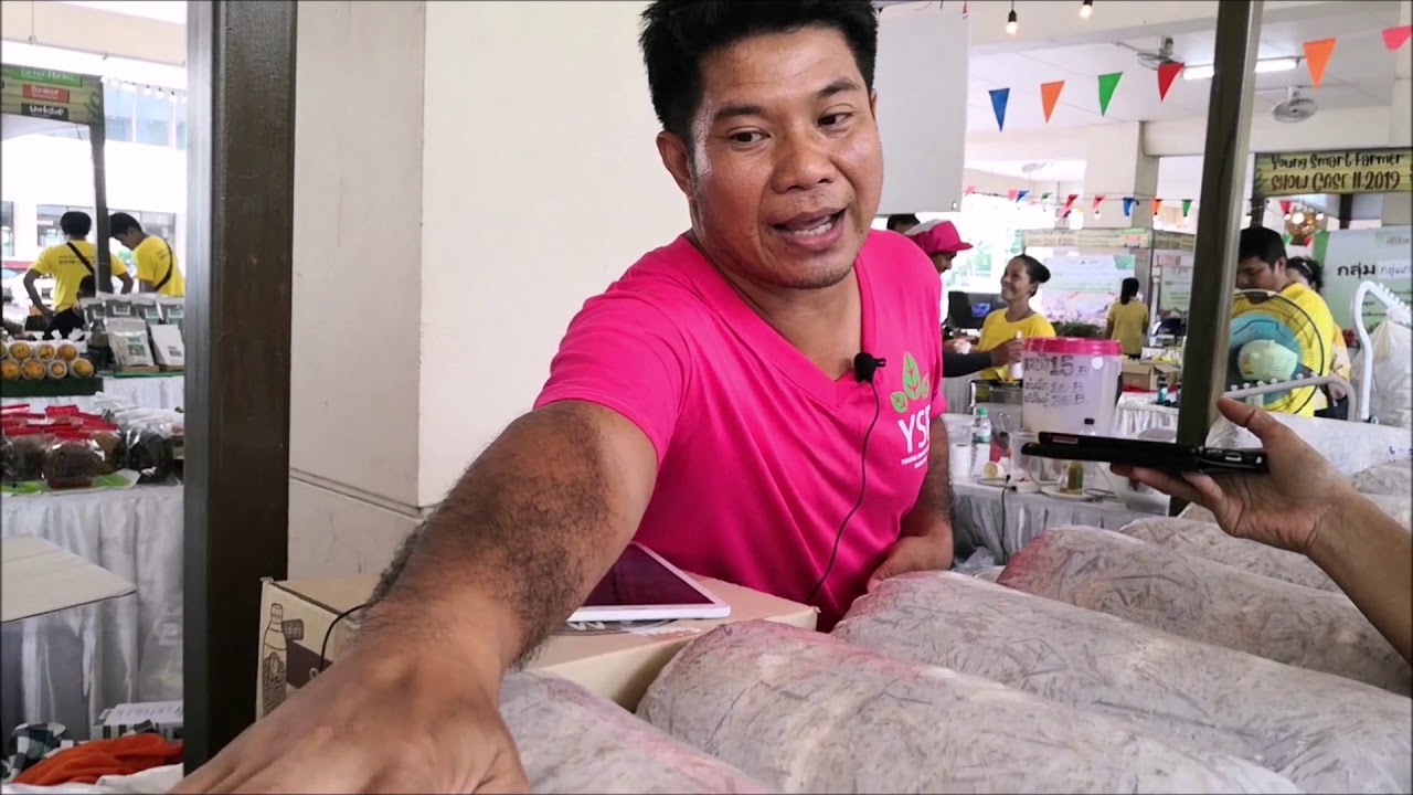 ง่ายกว่านี้มีอีกมั้ย!!? เปิดสูตรก้อนเชื้อเห็ดแบบไม่นึ่งก้อนใหญ่ไซส์หมอนข้าง