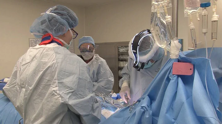 WATCH: Kent Justice's full story on Robert Ayer's ...