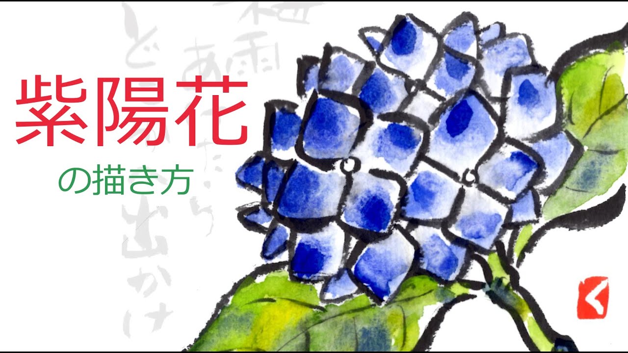 紫陽花の描き方 無料動画 梅雨の絵手紙 絵手紙教室くぼ田