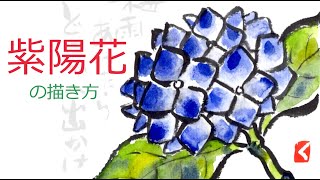 動画解説 紫陽花の描き方 梅雨の絵手紙 絵手紙教室くぼ田