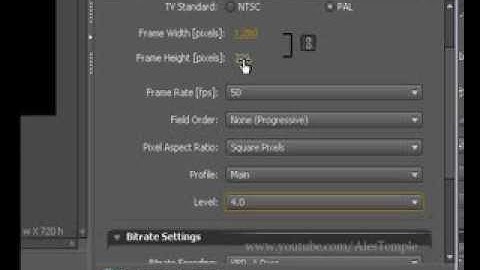 Adobe Media Encoder CS4 for YouTube