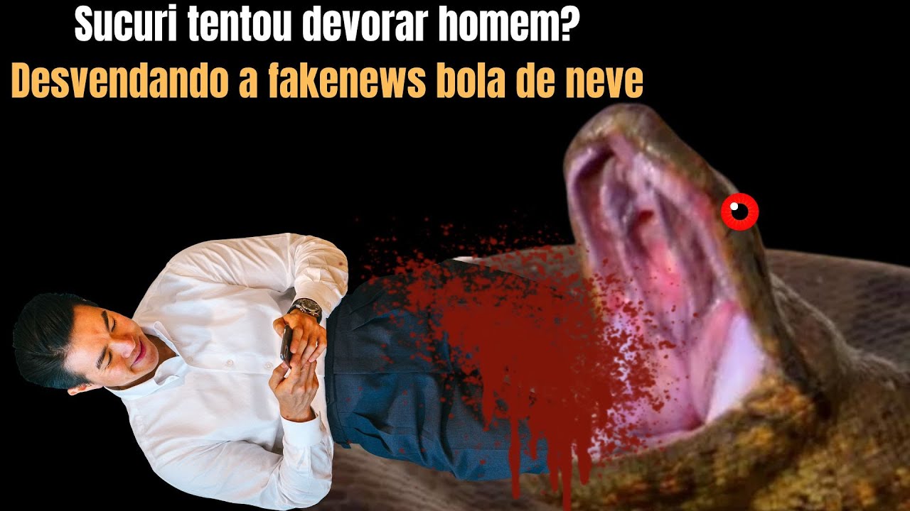 Sucuri tentou devorar homem? Desvendando a fakenews bola de neve