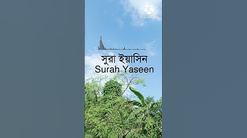 Surah Yasin | Yaseen | সূরা ইয়াসিন!سورة يس !মন জুড়ানো তেলাওয়াত 2025 #Surah Yasin #সূরা ইয়াসিনسورة يس