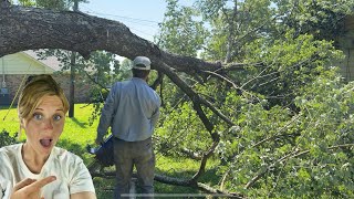 A Massive Tree CRASHED Into Our Neighbor’s House… We Had to Act FAST!