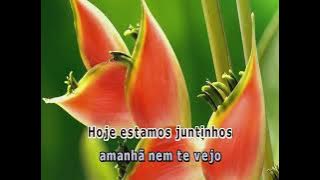 03420 - LEANDRO E LEONARDO - ENTRE TAPAS E BEIJOS