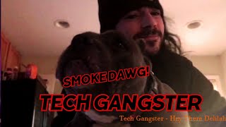 Tech Gangster - Hey There Delilah