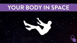 What Happens to Your Body in Space