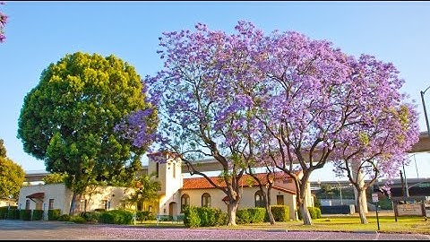 Introduction to the Olivet Discourse - Mark 13