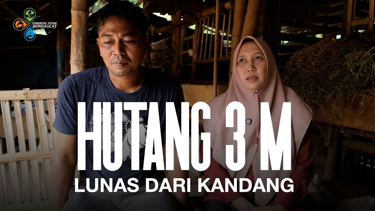 TERLILIT UTANG 3M KARENA JUD*L HINGGA DIKEJAR DEBTCOL!!  PASANGAN INI BERHASIL LUNASI DENGAN KAMBING