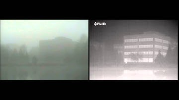 Fog - FLIR Thermals Detect Vehicles and Pedestrians through Fog!