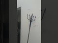 Tarrafa De Pano De Rede Industrial Pega Tainha? Nova Parceria Do Canal Agora Bora Aprender Tarrafear