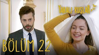 Yaralı Kuşlar 22. Bölüm