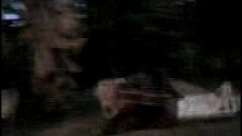 NIRVANA STILL LIVES.3gp