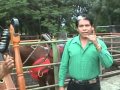 Cabalgando por el Llano - Yo soy de Apure (Domingo García)