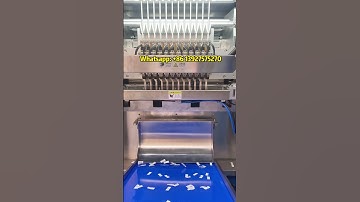 12Multi-Lane snus packaging machine  Nicotine Pouches high speed Packaging machine#packagingmachine