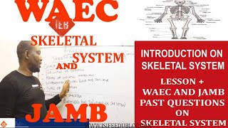 Introduction to skeleton and supporting system in animals screenshot 5