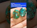 Bisa COD💥AZ857💥Paket 2 Pirus Persia,harga Rp 270 Ribu WA /TG +6285792493877,dim 20