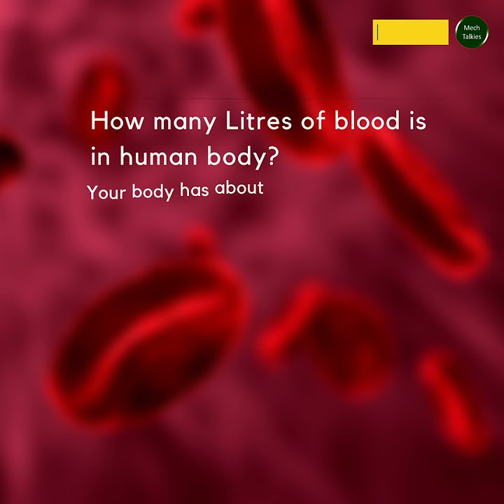 how-many-litres-of-blood-is-in-human-body-mechtalkies-humanbody