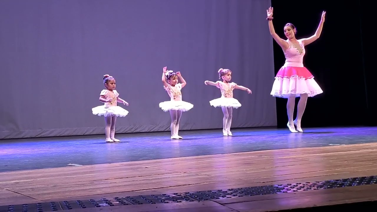 A PEQUENA BAILARINA - SUZAN ELISE