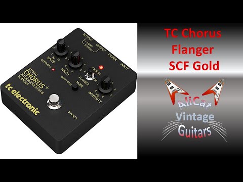TC ELECTRONIC　SCF GOLD TC Electronic | Product | SCF GOLD