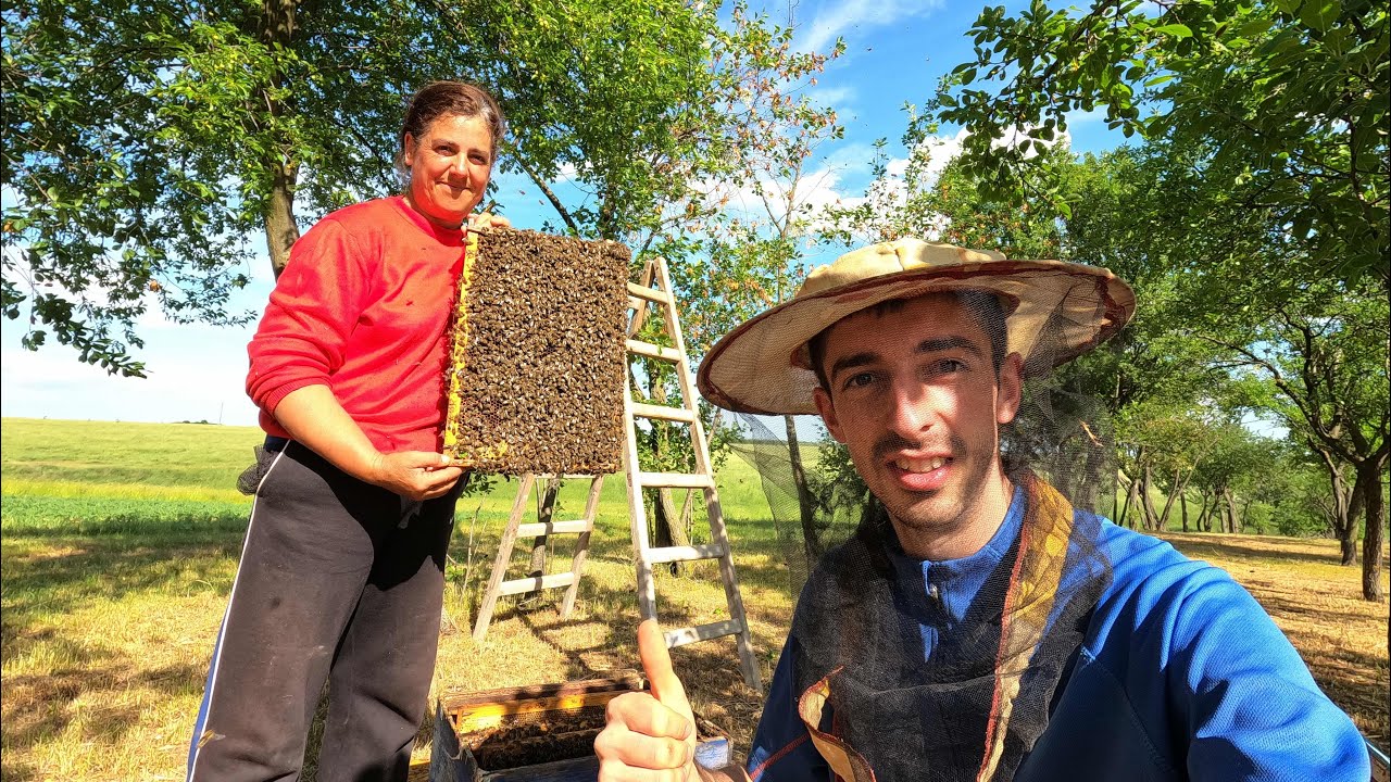 Am prins un ROI DE ALBINE cu MAMA!