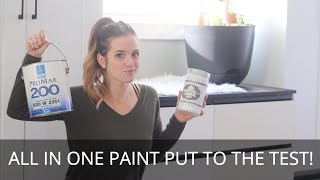 Does All-In-One Paint ACTUALLY Work?!