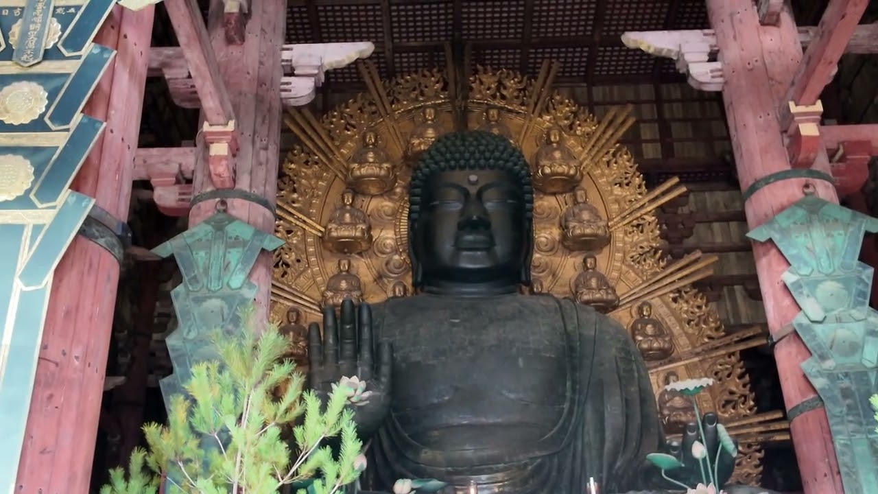 冬の奈良公園～東大寺 へ