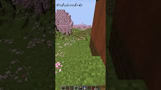 Minecraft: Working Shower💦| #shorts