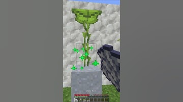 How to Get Dripleaf in Minecraft 1.17 | All about Drip leaves | #shorts