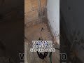 BRASÍLIA-DF CAÇA VAZAMENTO ANDSON 61.98474-3315 LIGUE AGORA