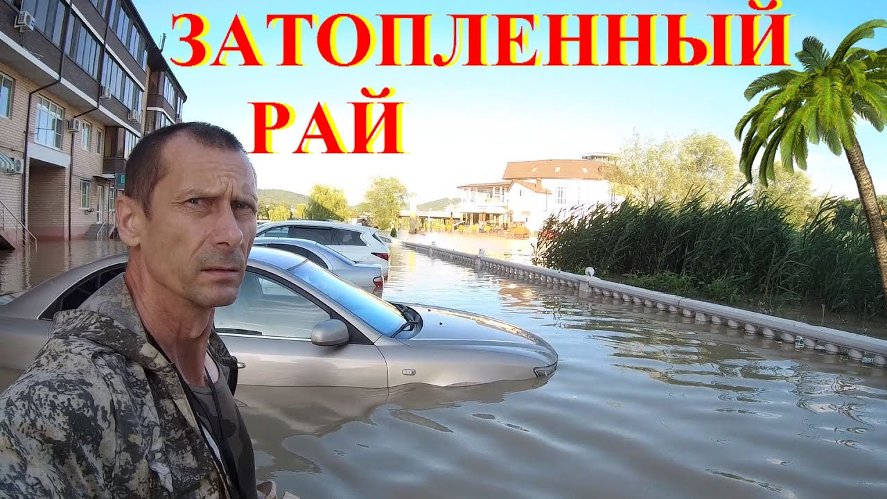 Рыба на авто