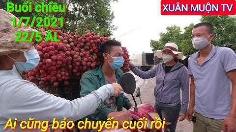 vải thiều buổi chiều  tại ngã ba cầu Trắng phong vân những chuyến vải cuối 2021
