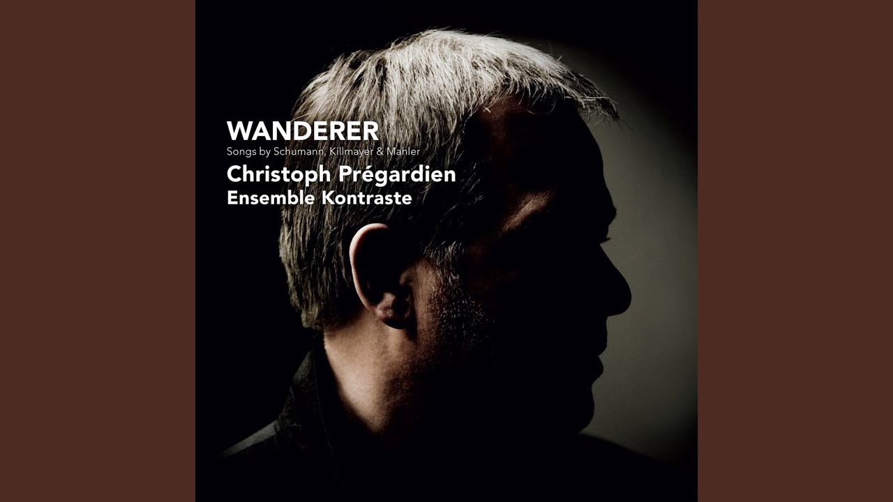 In lieblicher Bläue (Arrangement for small ensemble)