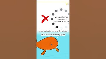 Myth Busters | DOES GOLDFISH HAVE A 3 SECOND MEMORY | #shorts