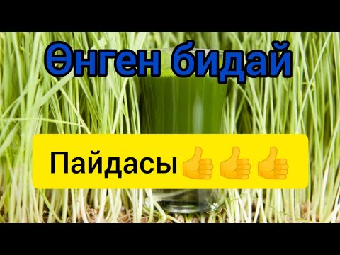 Бейне: Биоотын қалай өндіріледі?