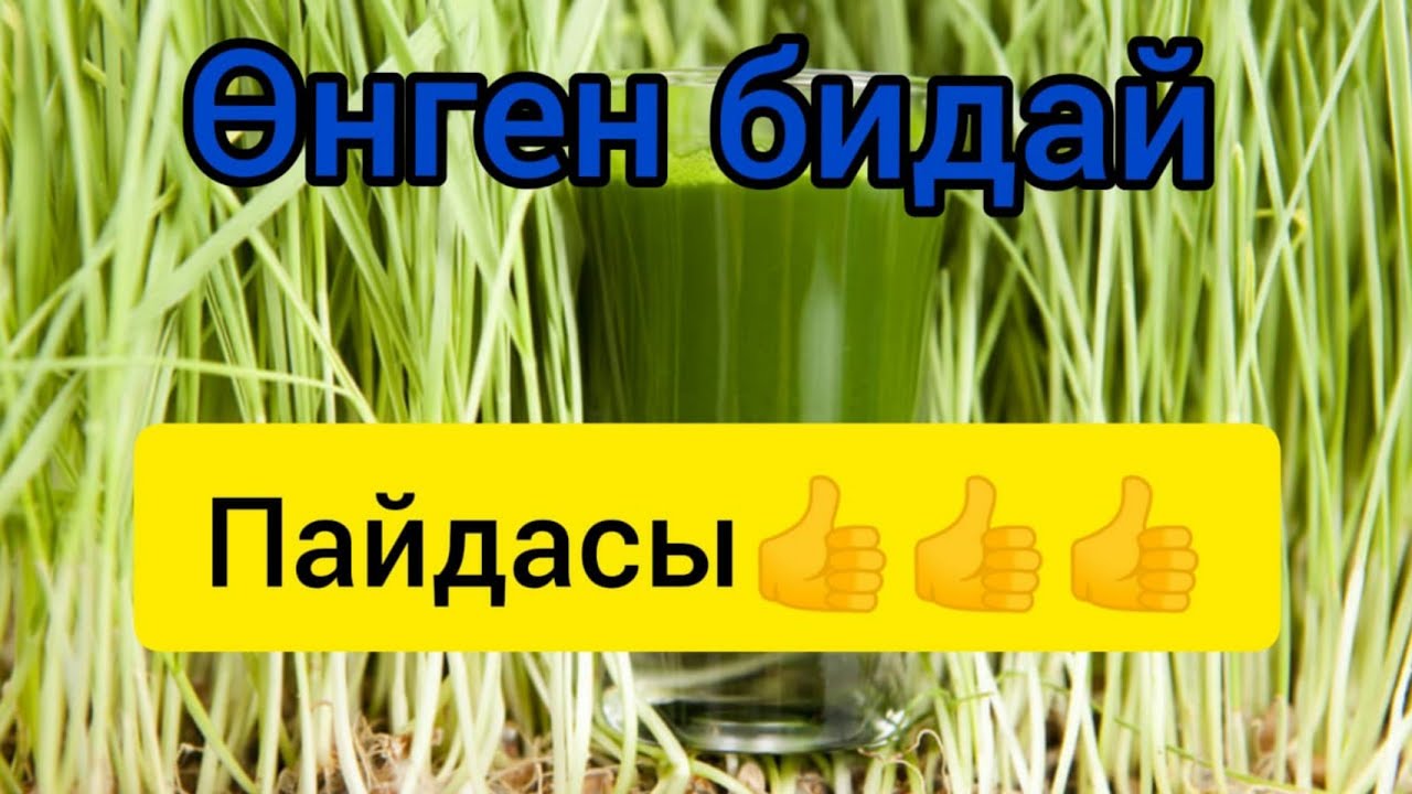 Өнген бидай🔥 Сіз бұны білмедіңіз/ Пророщенная пшеница/ Suprouted wheat