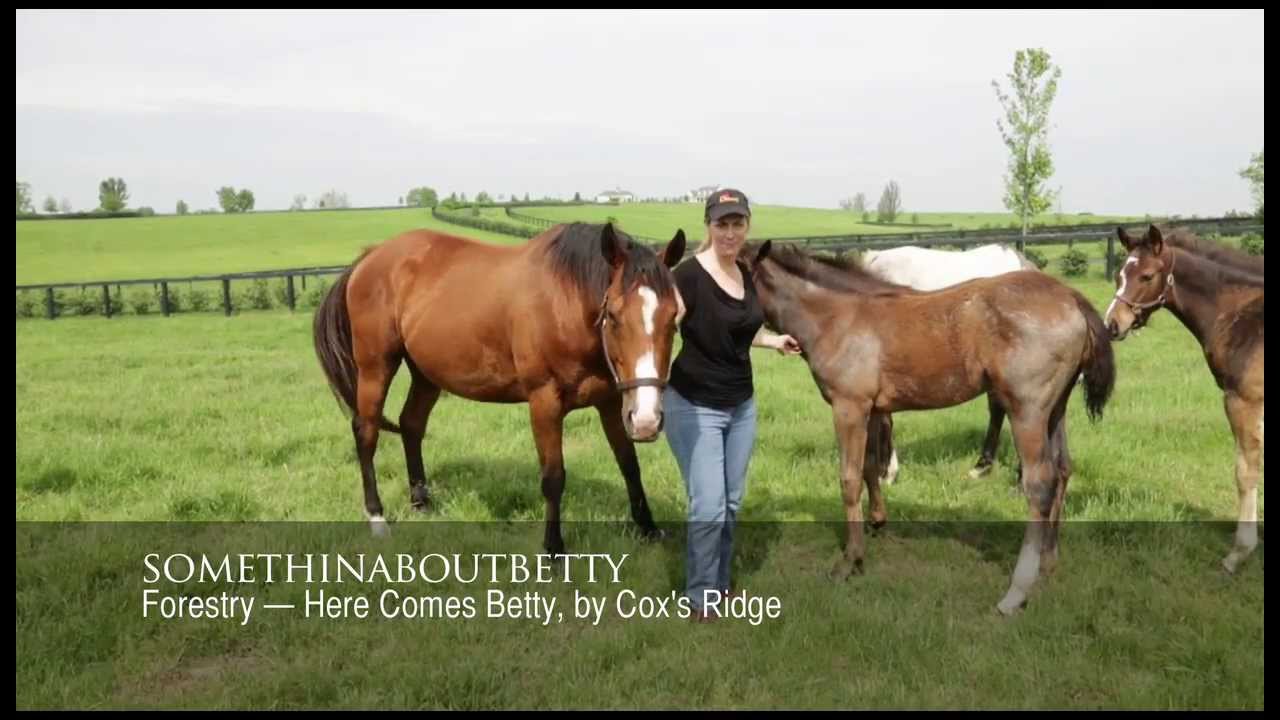 Meet the Mares: Somethinaboutbetty