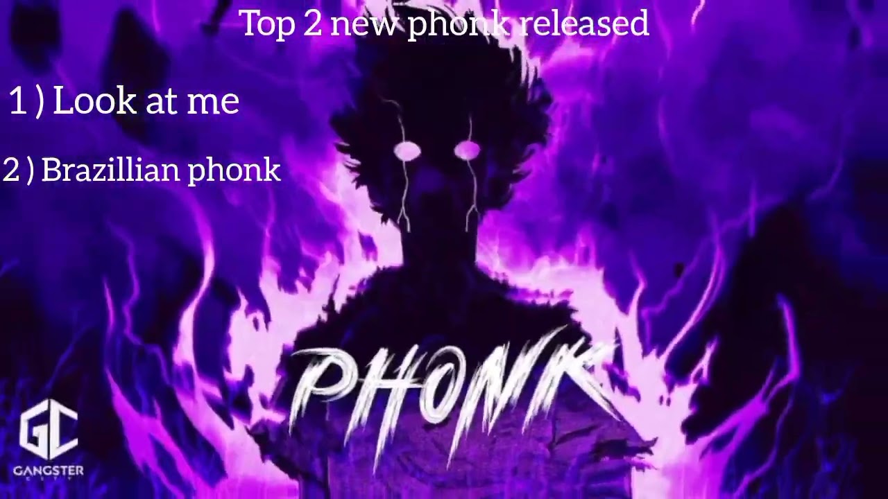 Crazy top 2 new phonk😎😎.