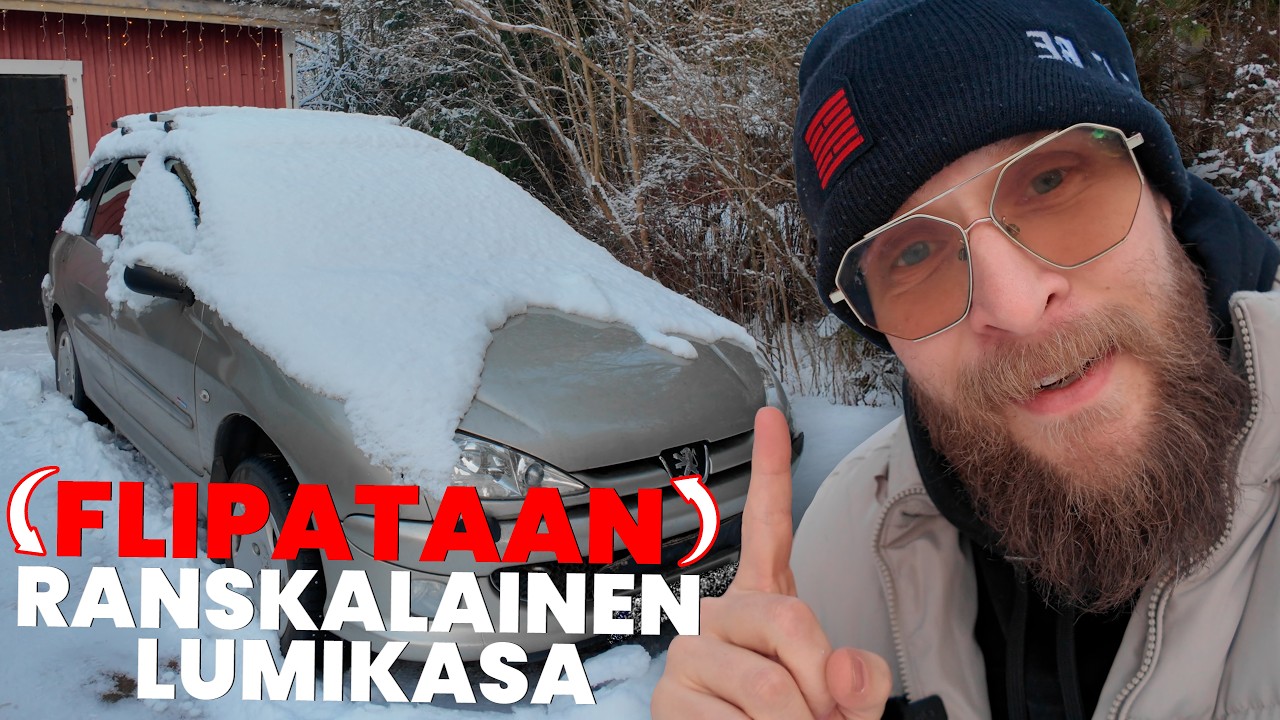 FLIPATAAN RANSKALAINEN PERHEAUTO | Säästytäänkö sähkövioilta?