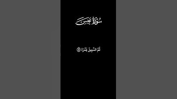 ⚡ صدمة الحقيقة يوم لا ينفع الندم… | تلاوة خاشعة مؤثرة 🎧 #علاء_عقيل