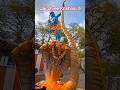 కృష్ణుడు ఏం చెప్పాడంటే#Jai Shree Krishna 🙏#కృష్ణుడు#కన్నయ్య#video #motivation #yt videos #viral