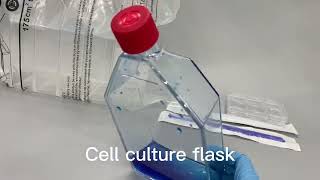 Plastic T75 Cell Culture Flask Surface Area 75 Cm2