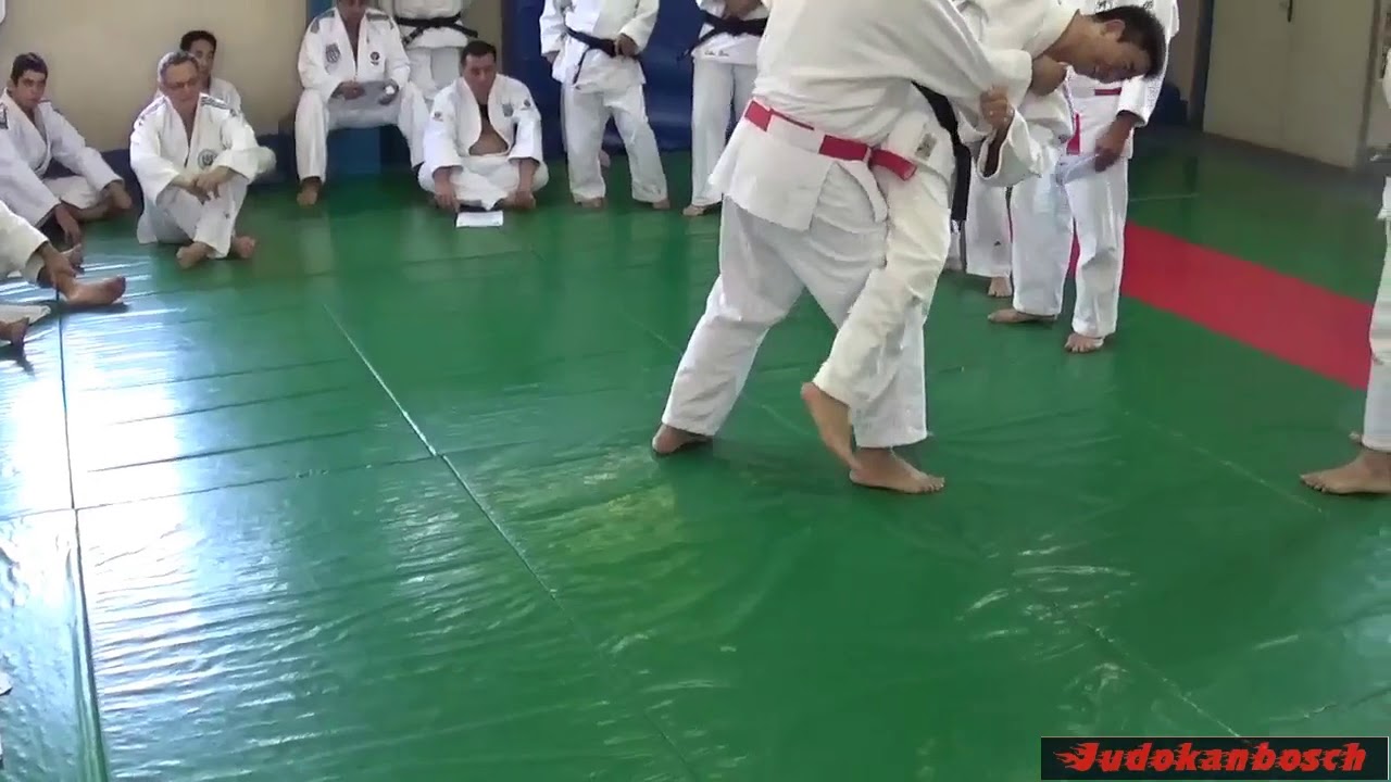33  O soto gari e Harai goshi
