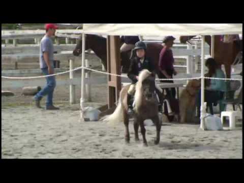 Neo Bennett age 9 at WREC show April 18 2010