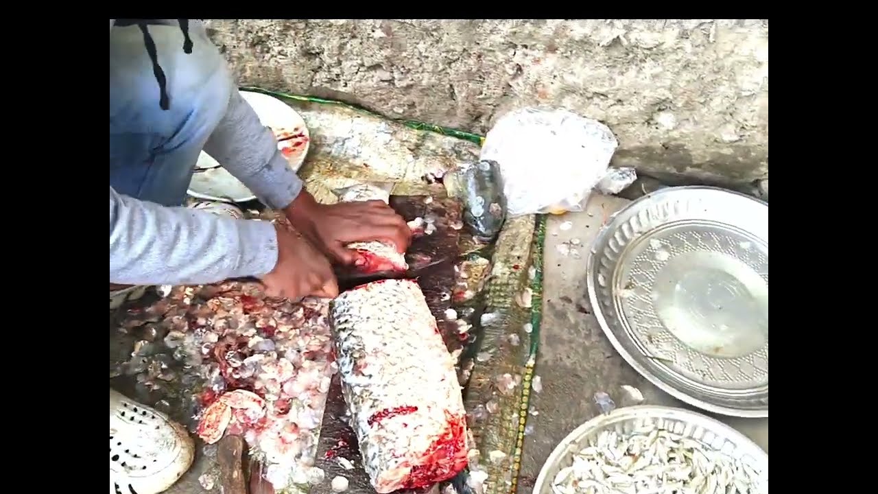 big size fish cutting video skills  very amazing fish cutting video Assam glass cup fish cut video
