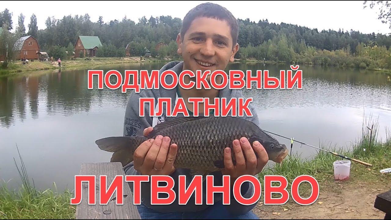 Чистые пруды рыбалка. Платная рыбалка в Щелковском районе.