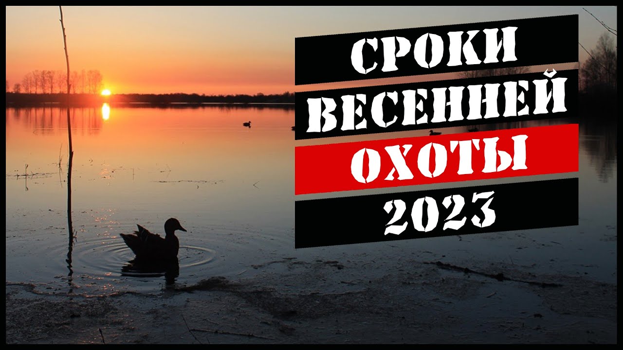 Охота 2023 сроки. Весенняя охота. Правила весенней охоты на водоплавающую дичь. Новые правила рыболовства.