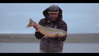 Fly Fishing Monster Arctic Char In Nunavut